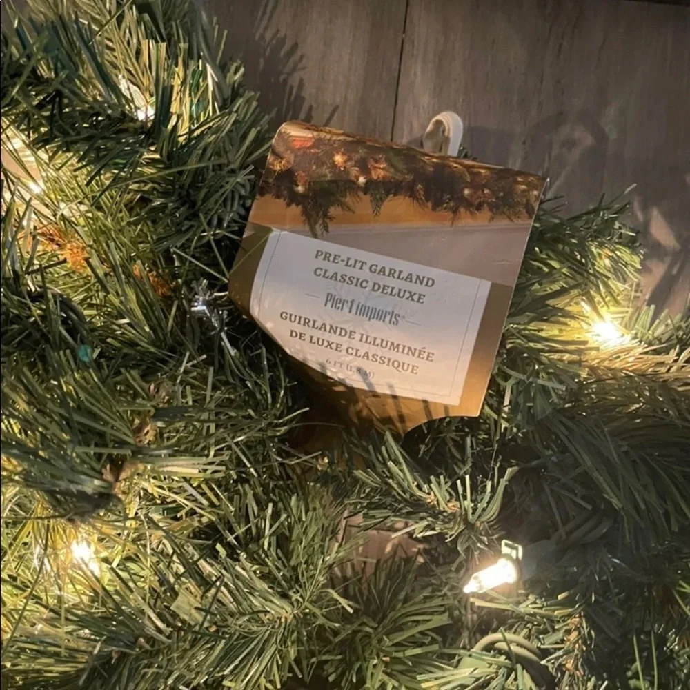 Pier one light up garland